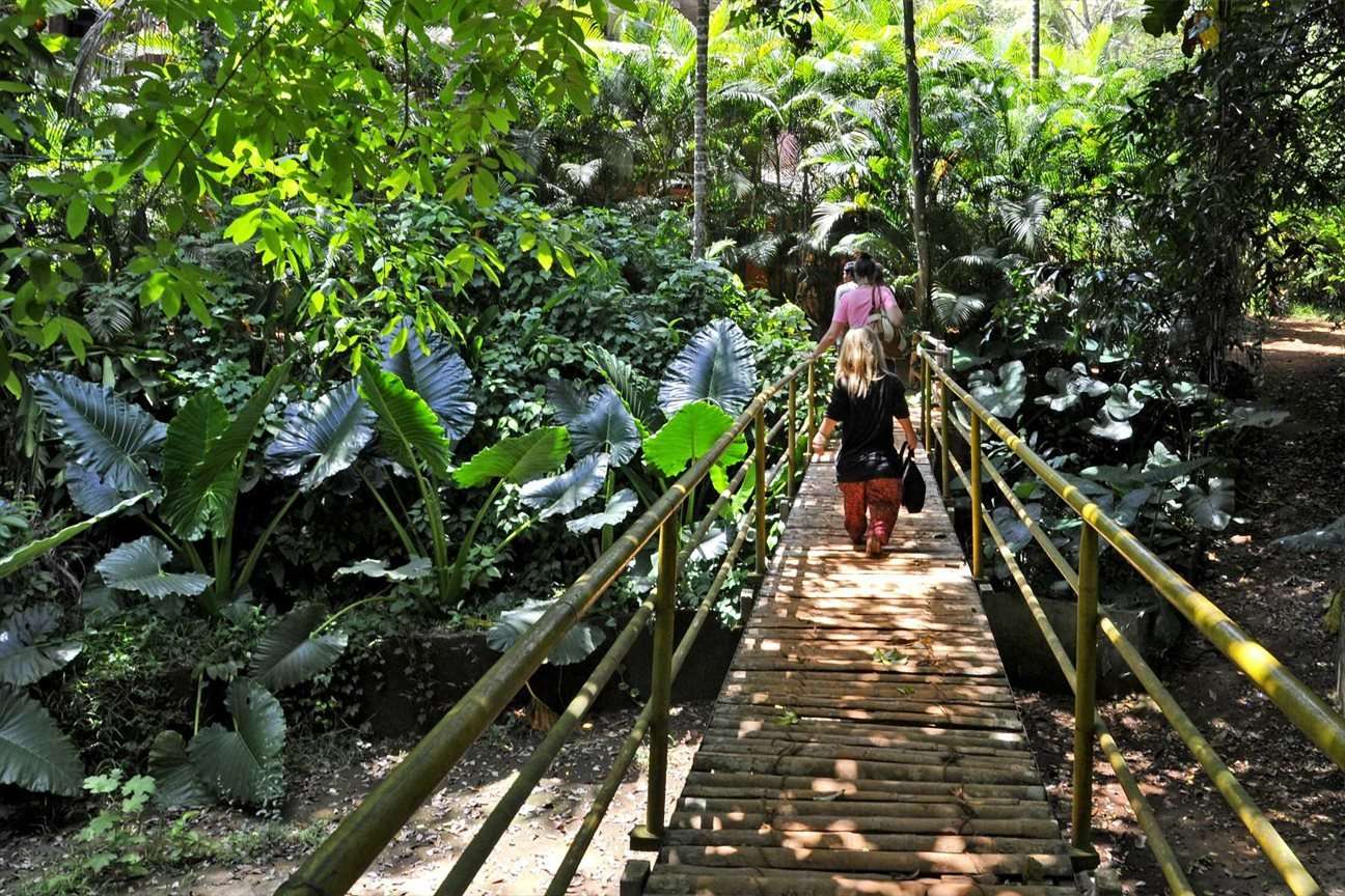 Visit the Spice Gardens