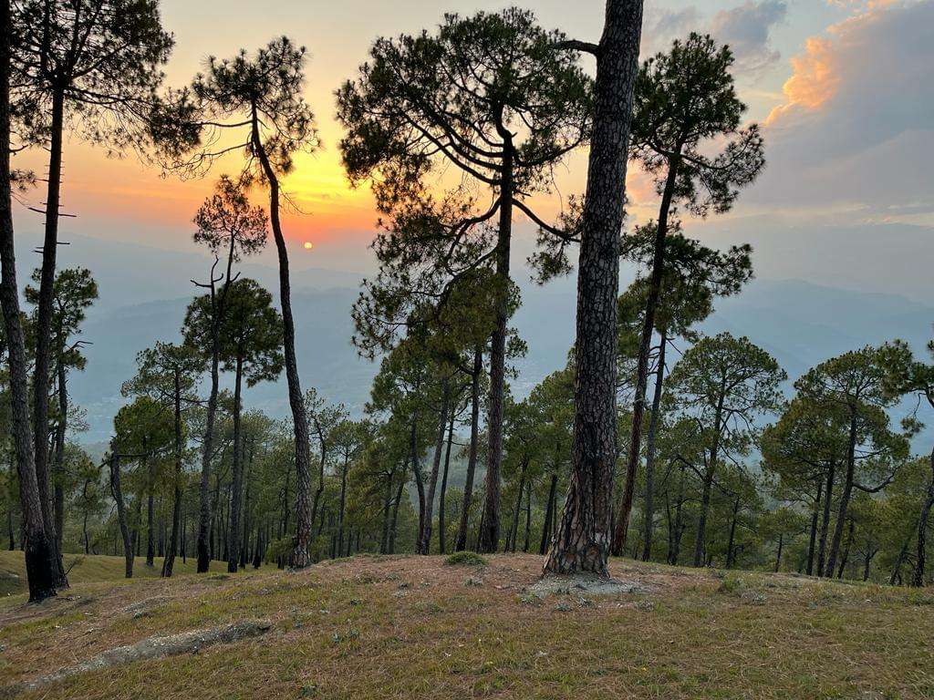 Ranikhet