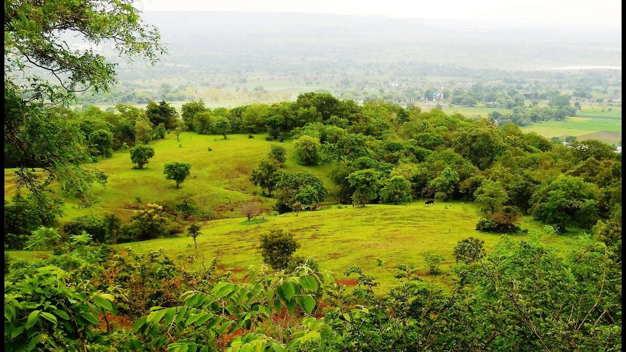Ananthagiri Hills (90 km from Hyderabad)