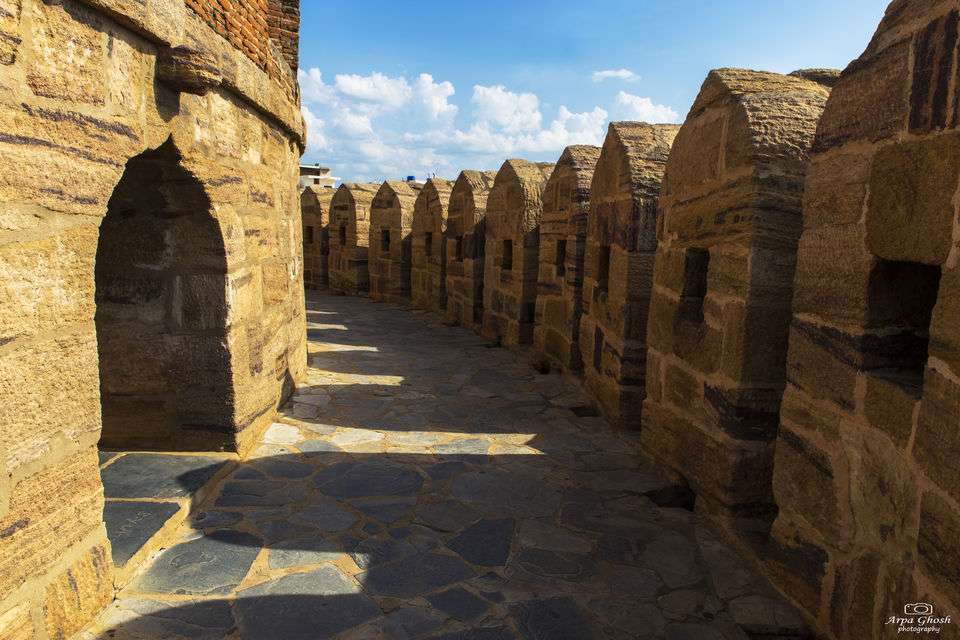 Oravakallu Rock garden (248 km from Hyderabad )