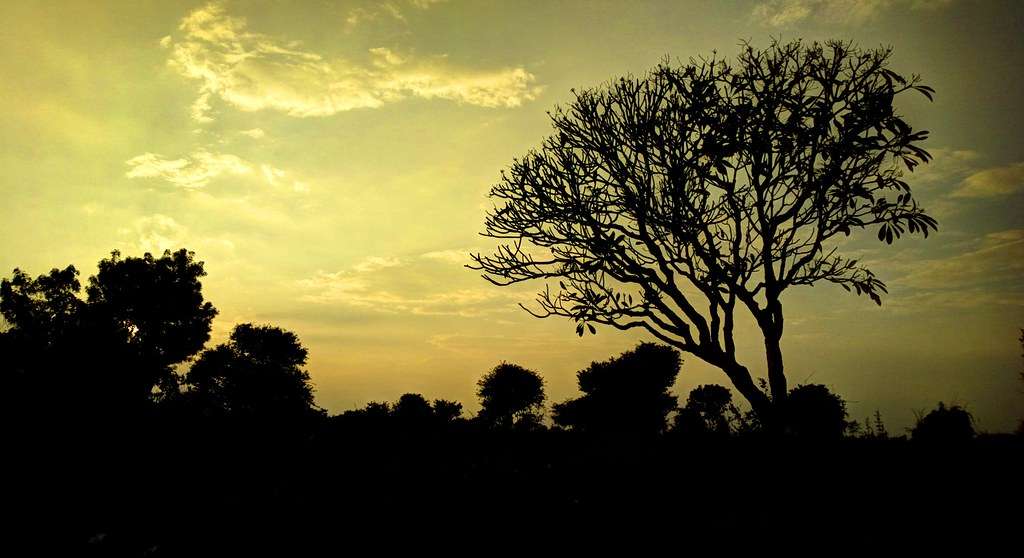 Mahbubnagar (140 km from Hyderabad)