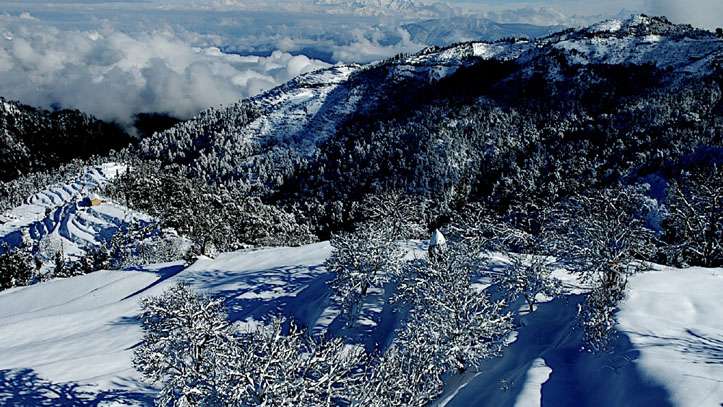 Kanatal (79 km from Rishikesh)