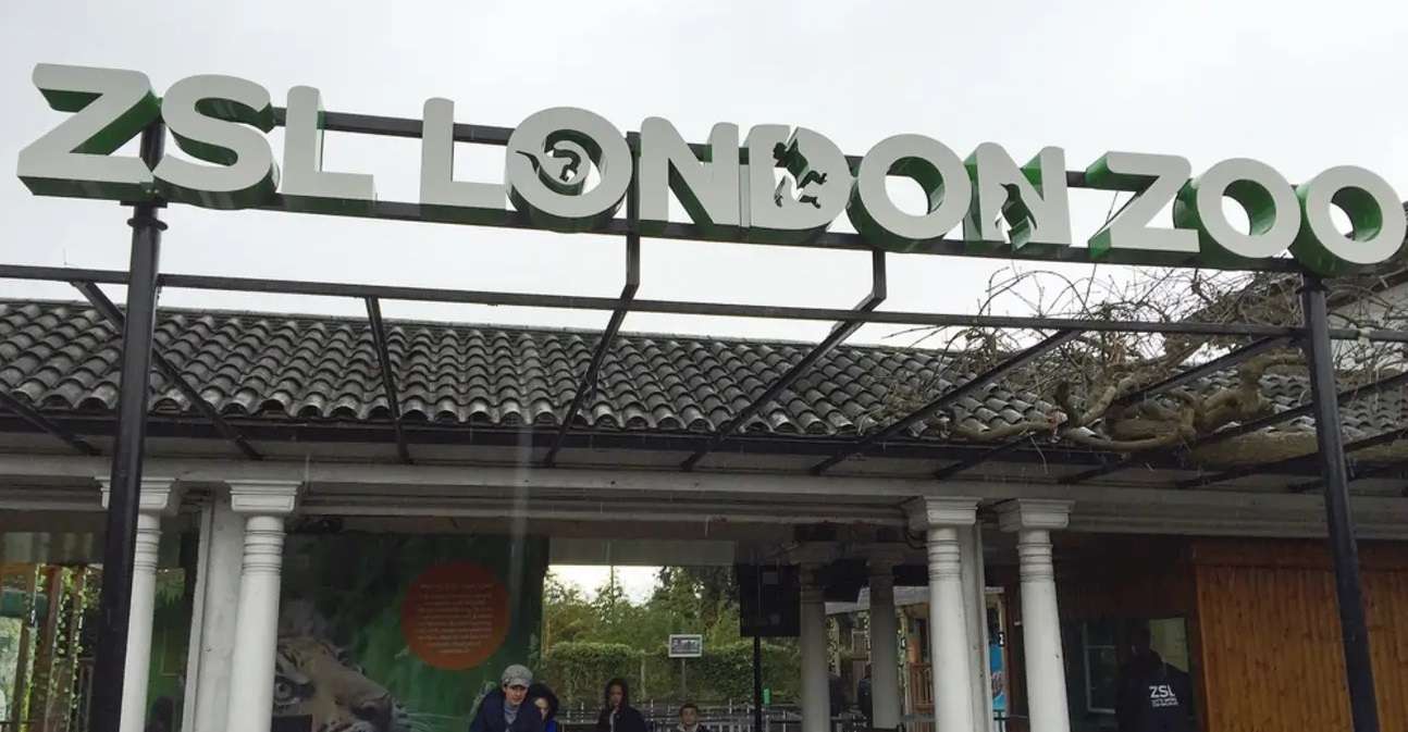 Explore Zsl London Zoo Tickets I Flat 12% off