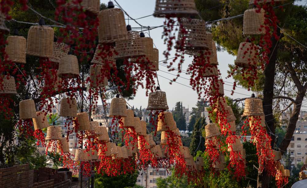 Take a Stroll down Rainbow Street
