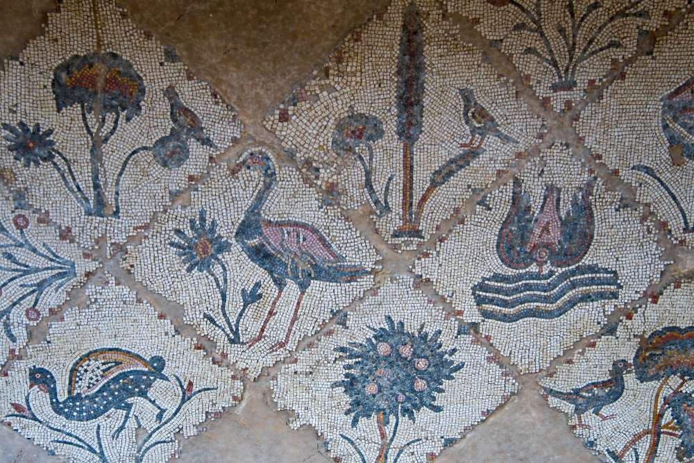 Marvel at The Madaba Mosaics
