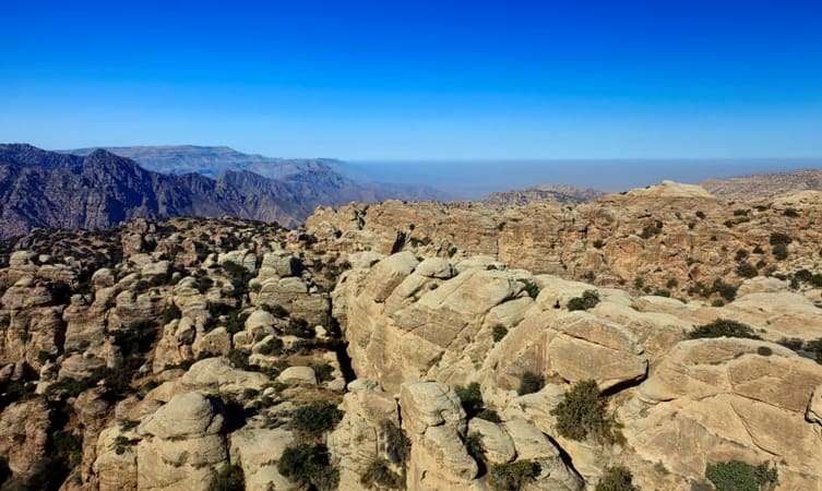 Hike Dana Nature Reserve