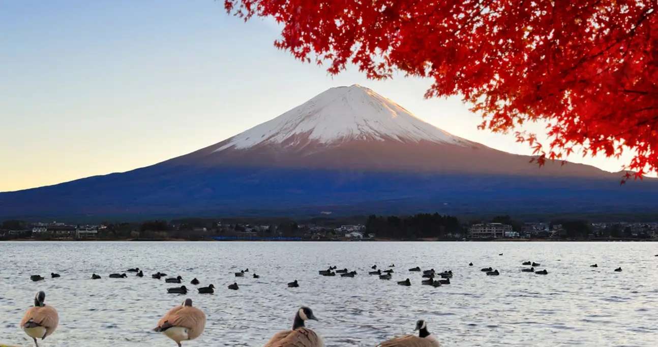 Mount Fuji Day Tour - Book Now @ Flat 20% off