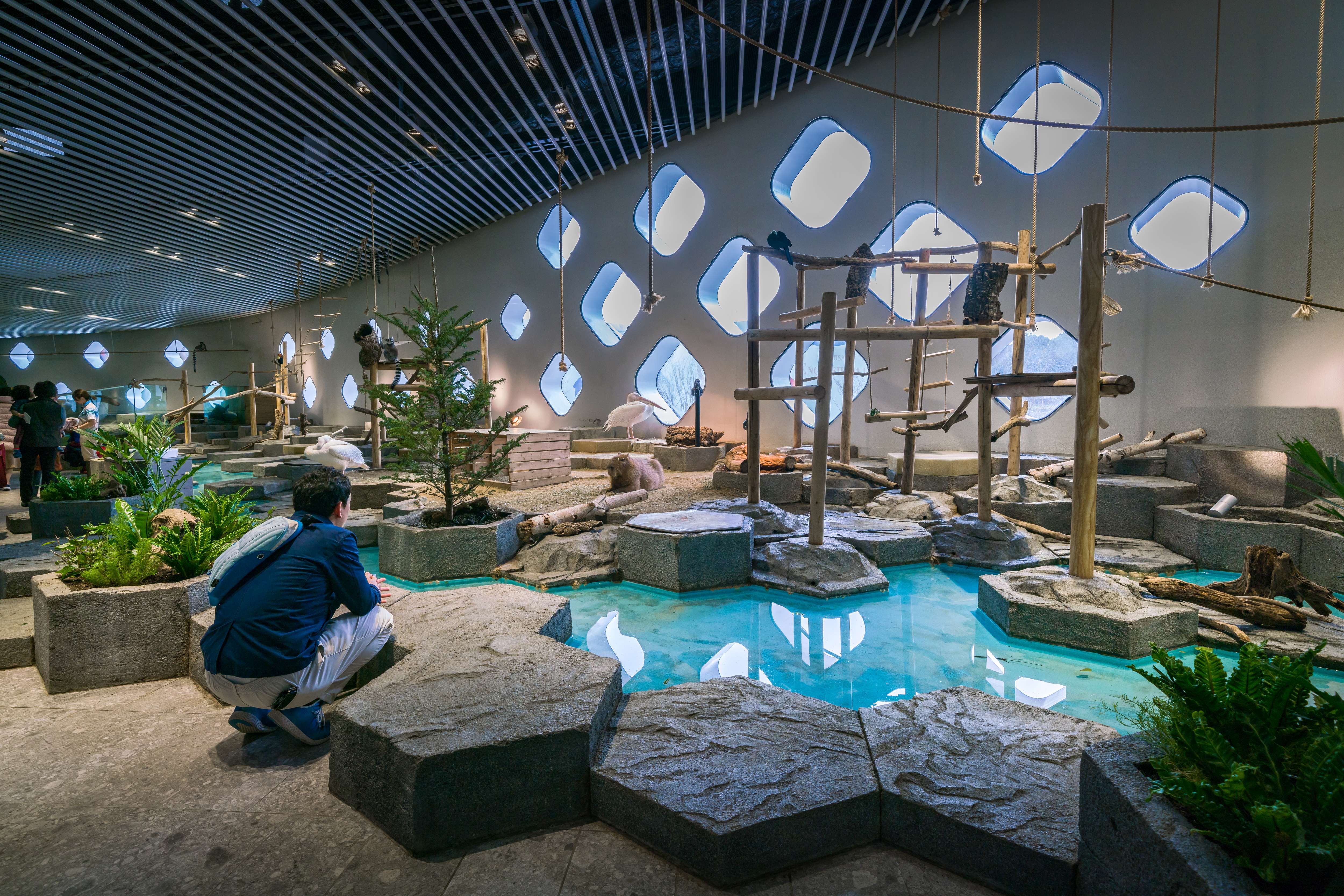 Nifrel Osaka Interactive Aquazoo Tickets | Flat 15% off