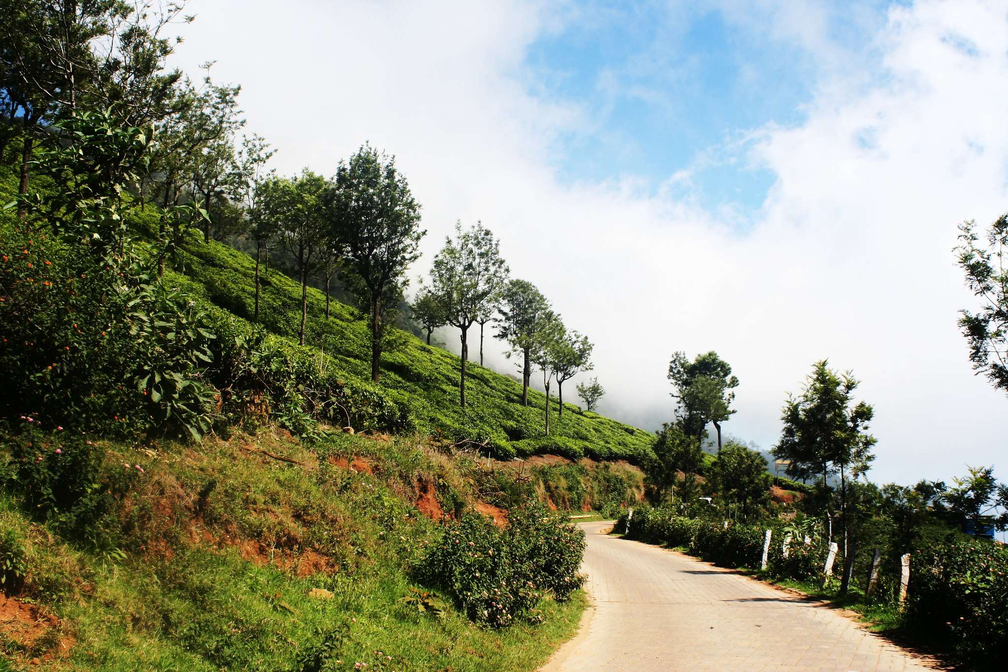 15 Hill Stations near Mysore: {{year}} Updated