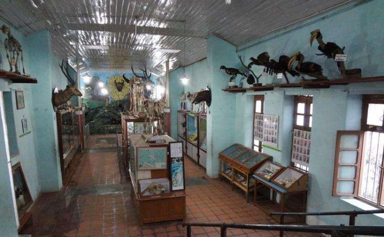 Shenbaganur Museum