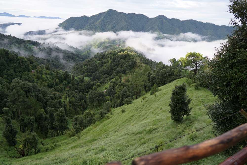 Shoghi (332.7 km from Delhi)