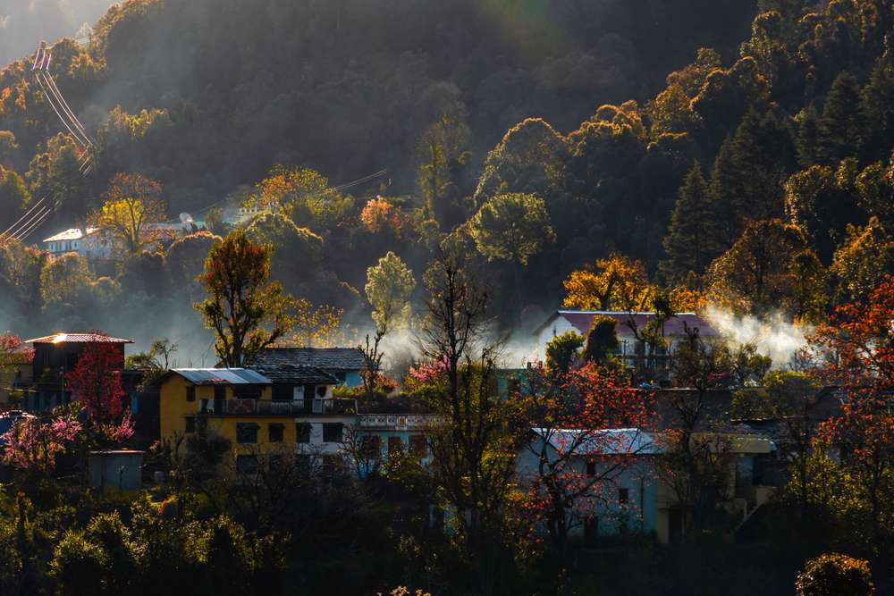 Pithoragarh (486.8 km from Delhi)