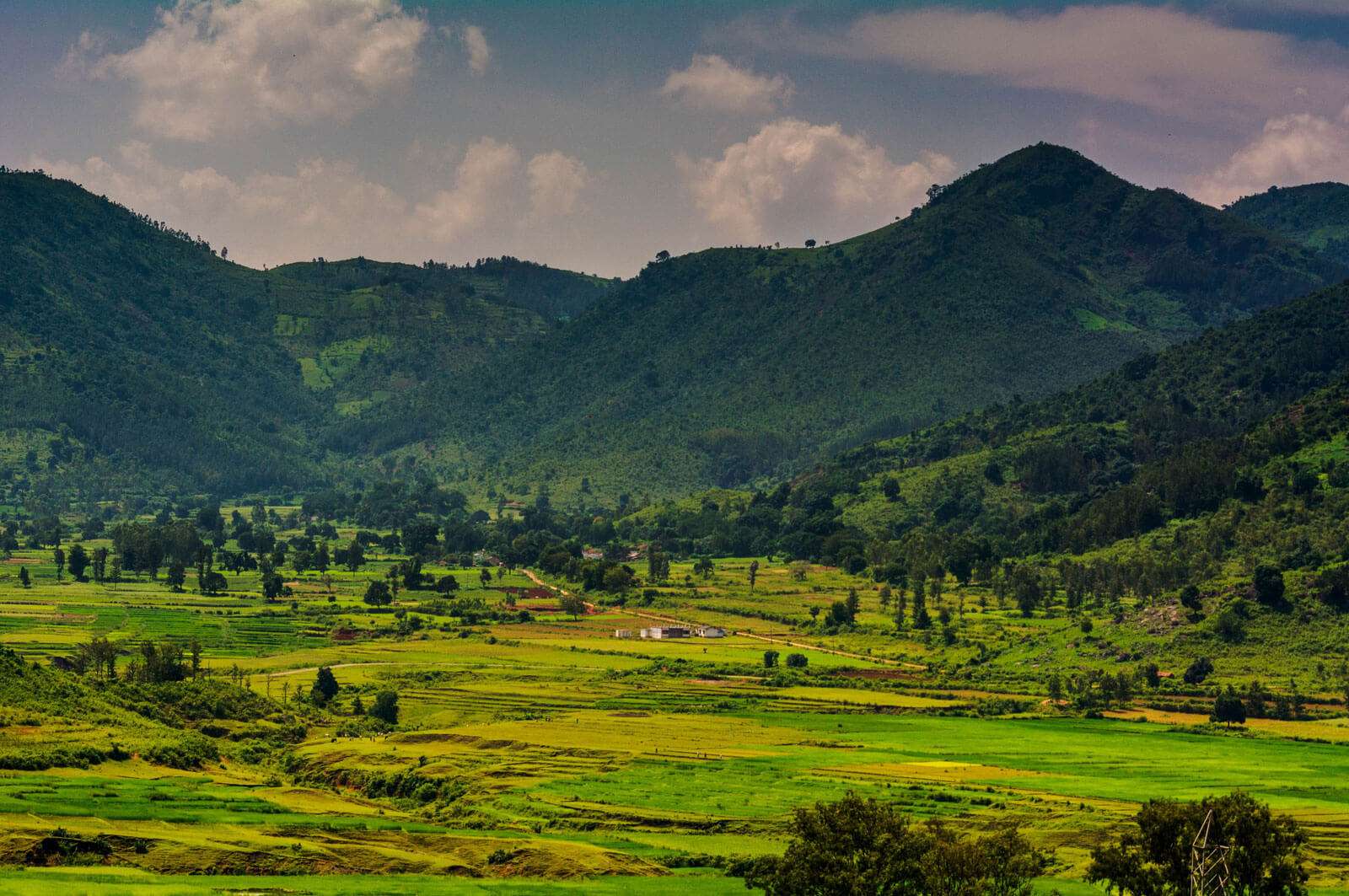Araku Valley