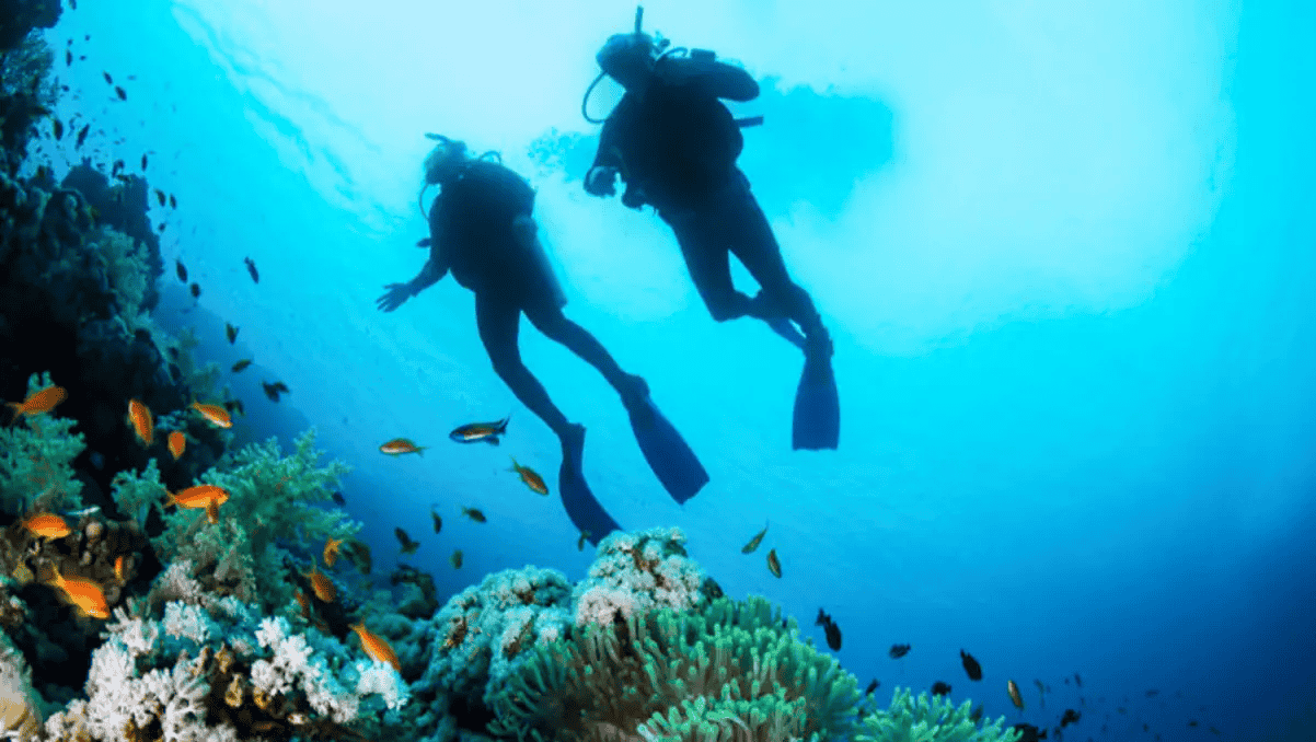 Scuba Diving in Mauritius, Book Now @ Flat 18% off
