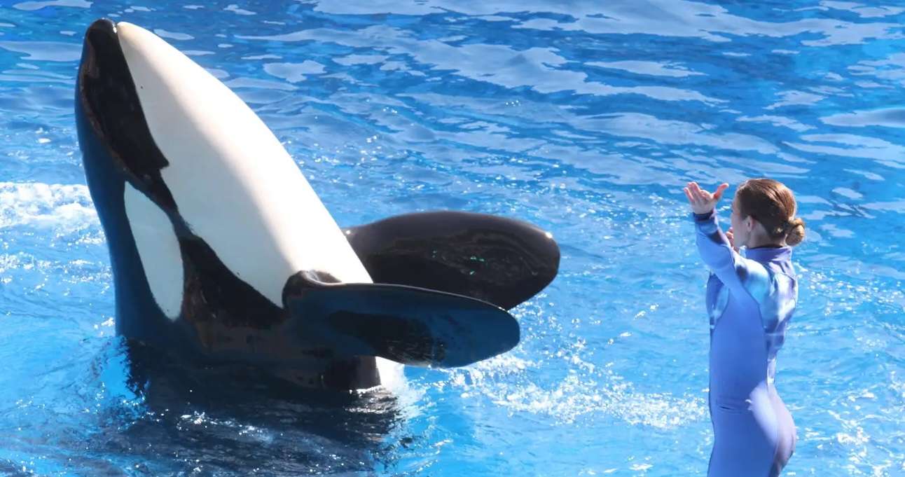 Hanwha Aqua Planet 63 Tickets in Seoul, Book @ Flat 12% off