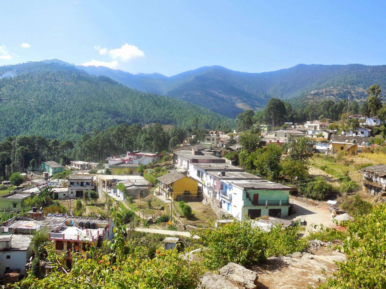 Pauri