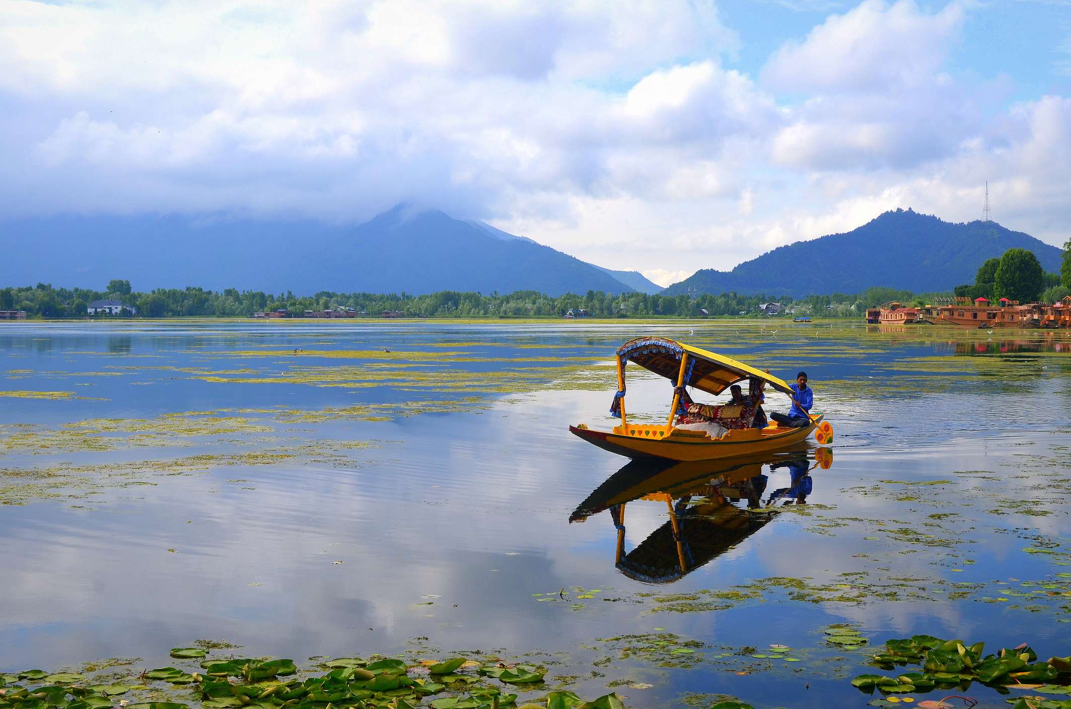 20 Places to Visit Near Jammu That Are Perfect for a Getaway!