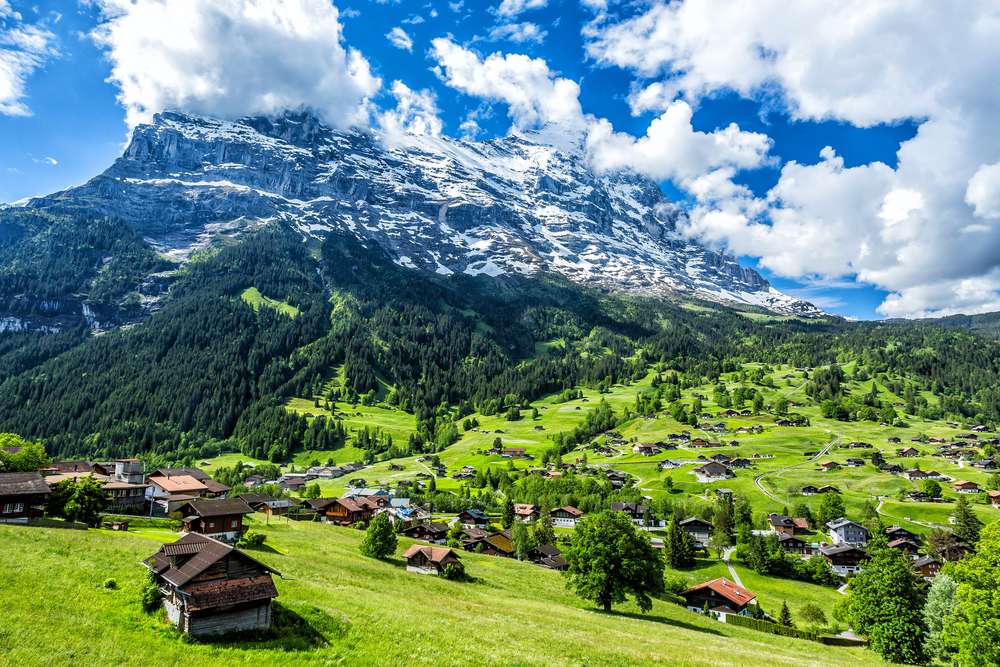 See The Stunning Grindelwald