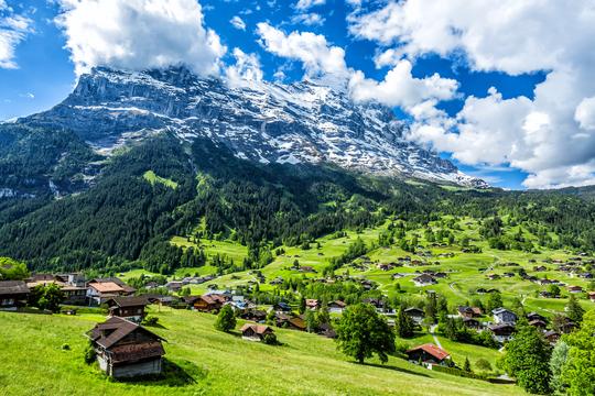 See The Stunning Grindelwald