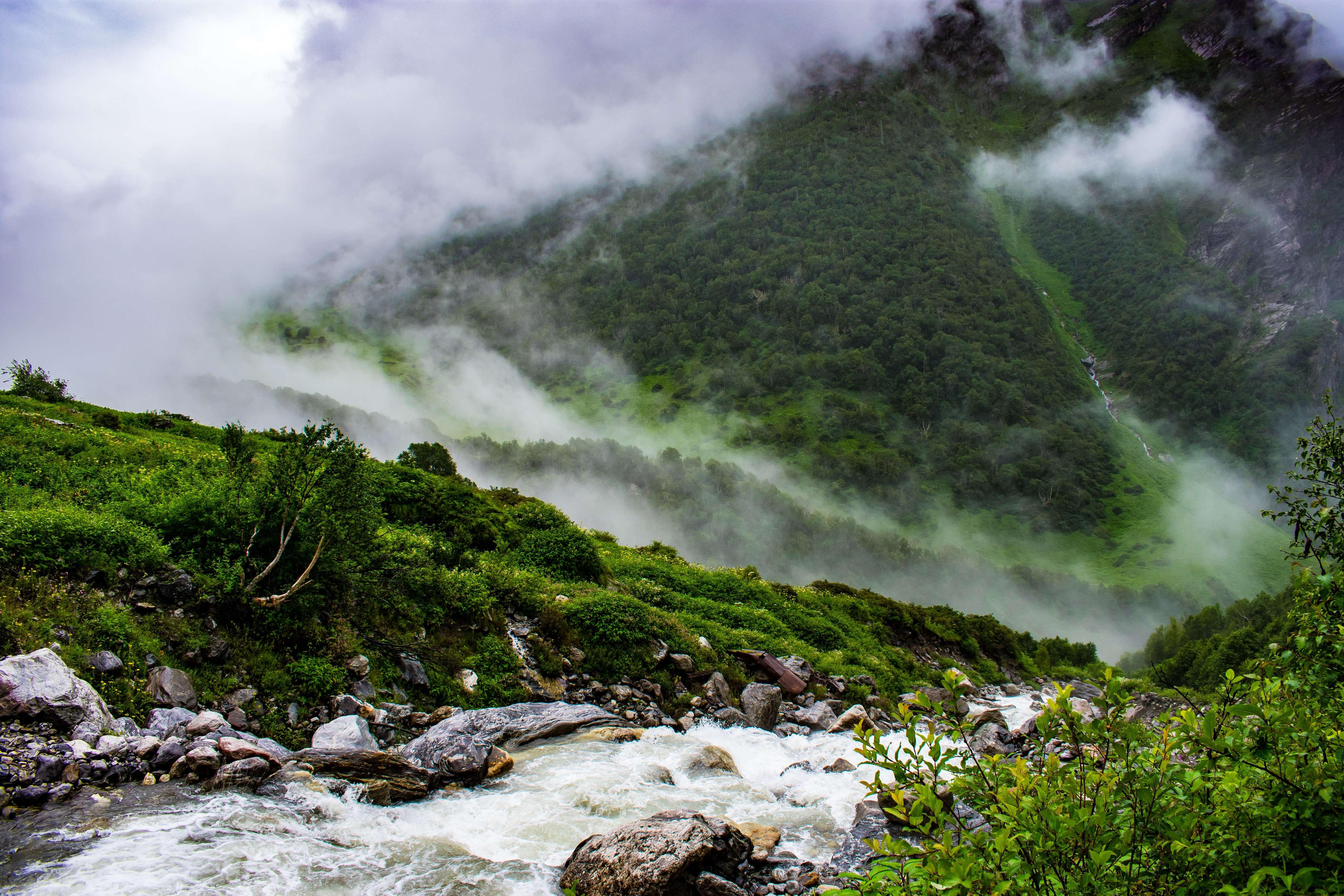 Things to Carry for Valley of Flowers Trek: Packing List & Trek Essentials