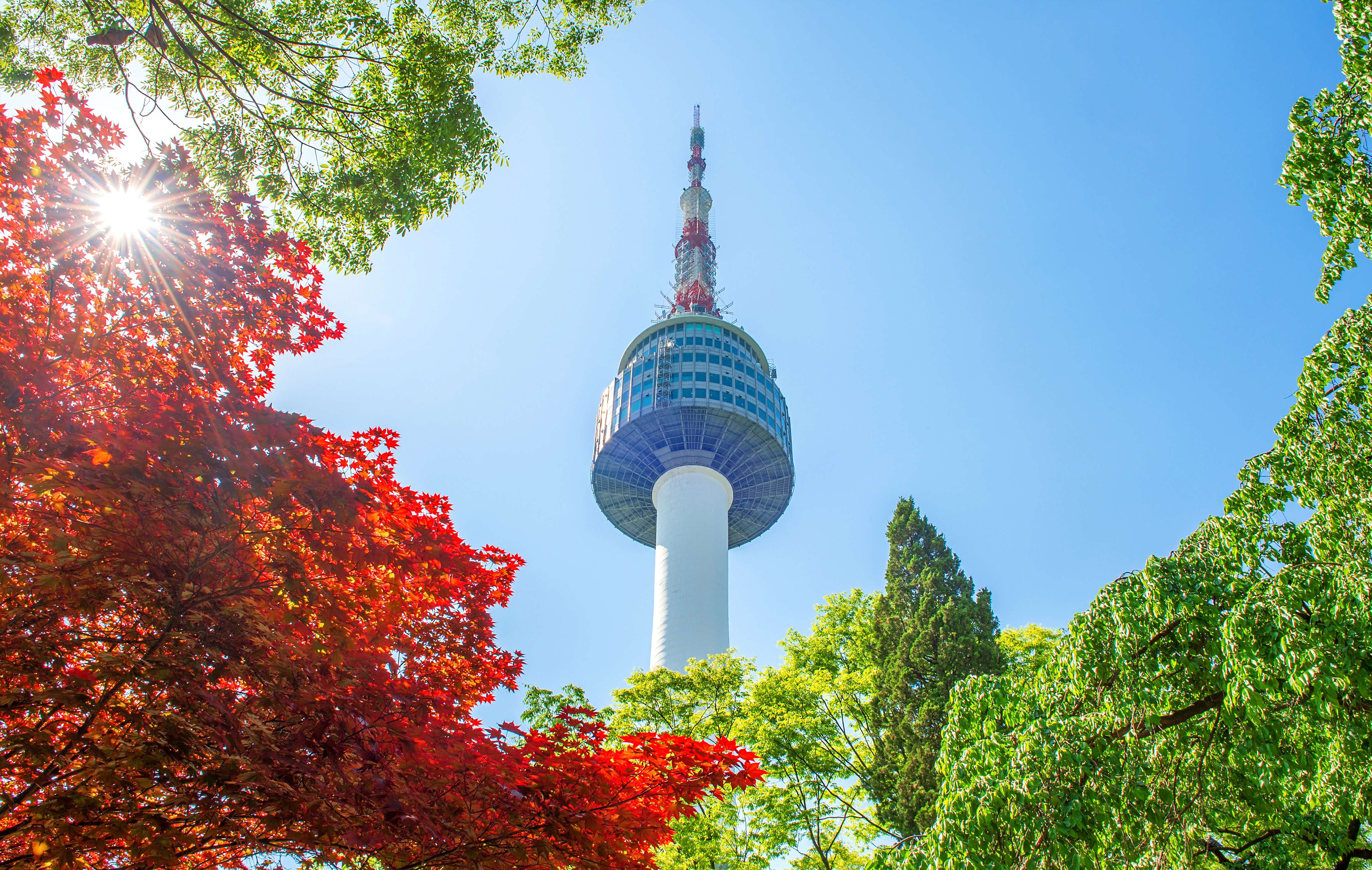 N Seoul Tower Tickets | Book @ ₹380 Only!