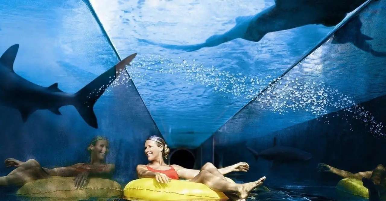 Lost Chambers Aquarium Dubai Ticket: Flat 10% off