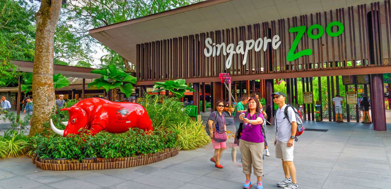 Jurong Bird Park Singapore Zoo Combo with Transfers Flat 11% off