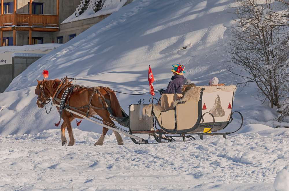 Romantic Ride On Horse-Drawn Sleigh