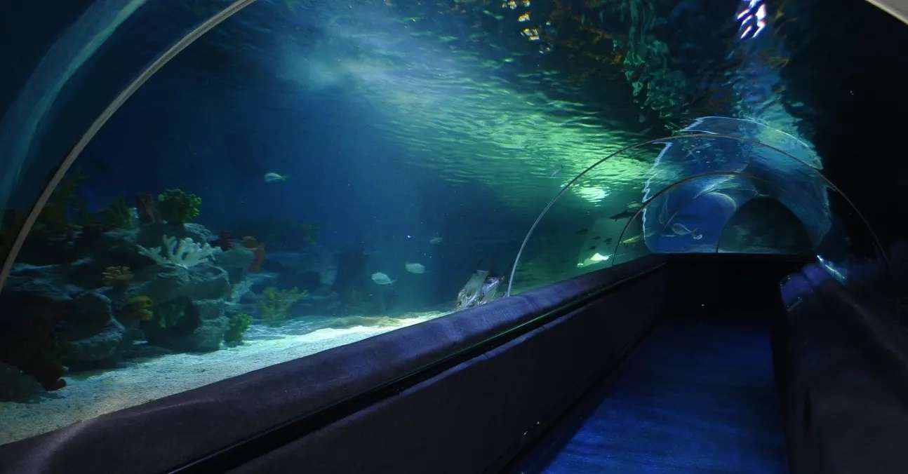 Sea Life Aquarium Istanbul Tickets, Book @ Flat 16% off