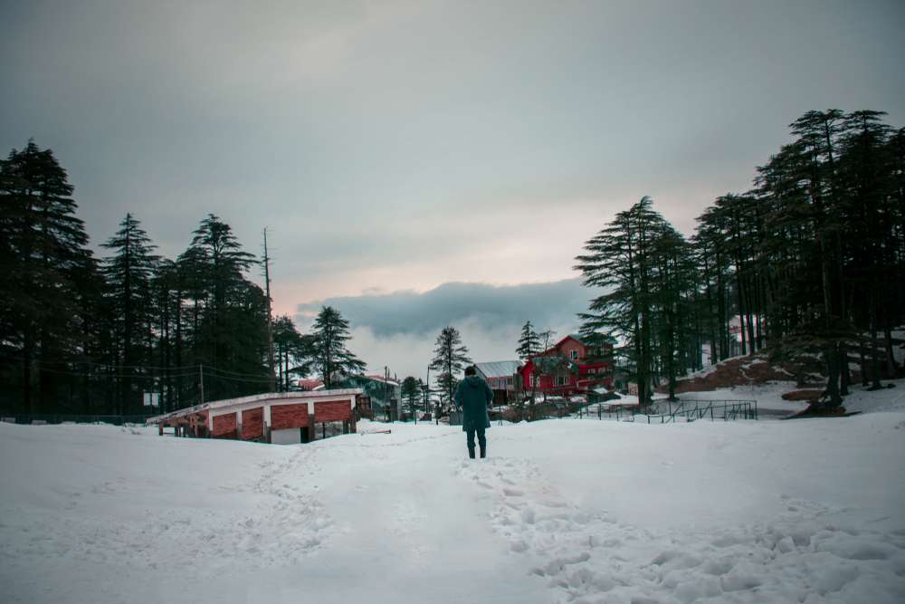 Jammu Sightseeing Tour