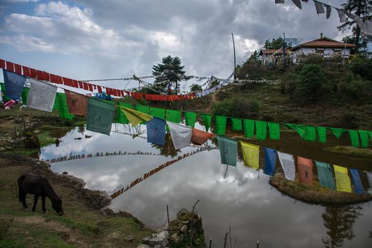 Goechala trek in June