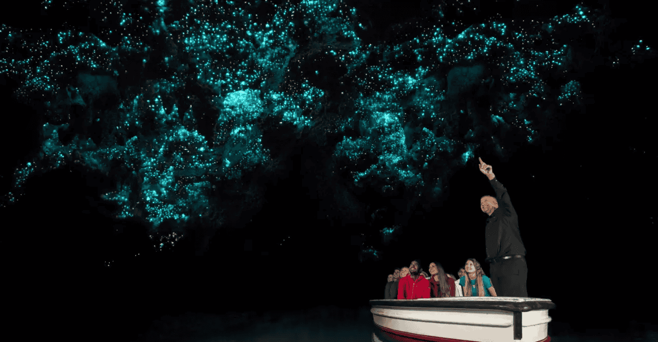 Waitomo Glowworm Caves Tour | Book Now @ Flat 15% off