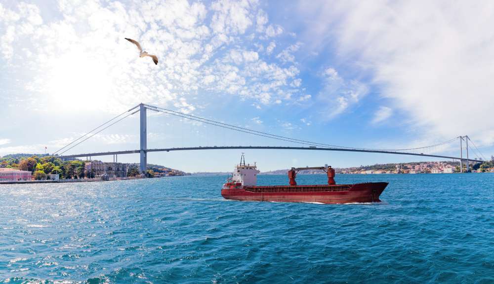 Cruising at Bosphorus