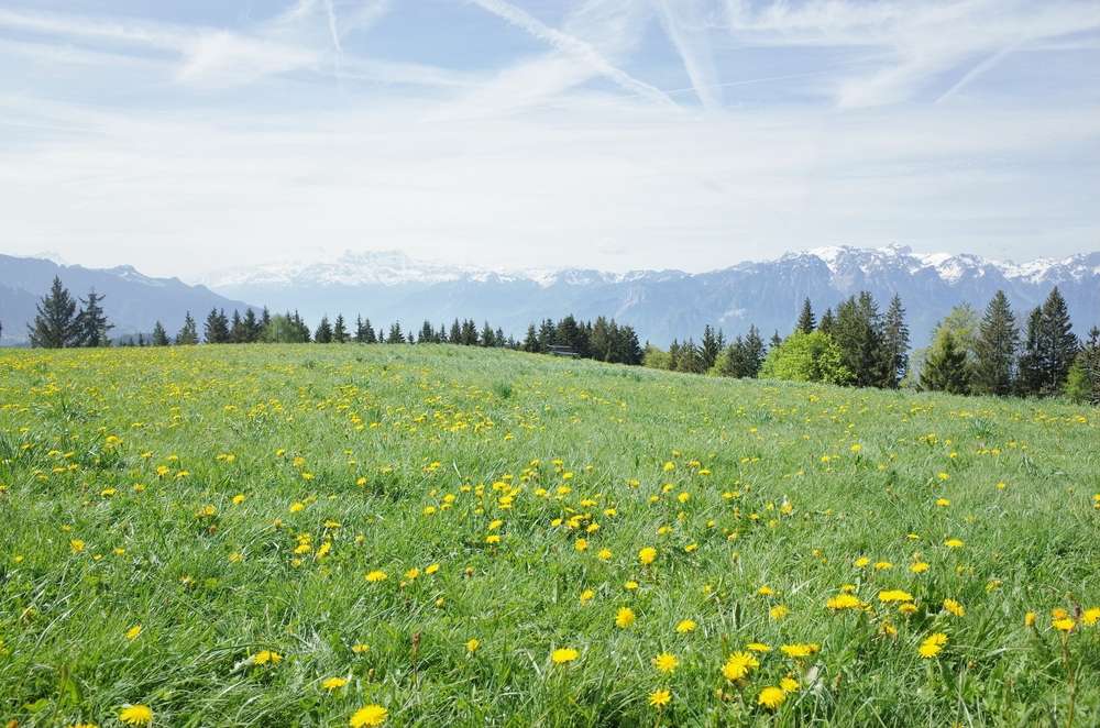 Tourist Attractions In Montreux