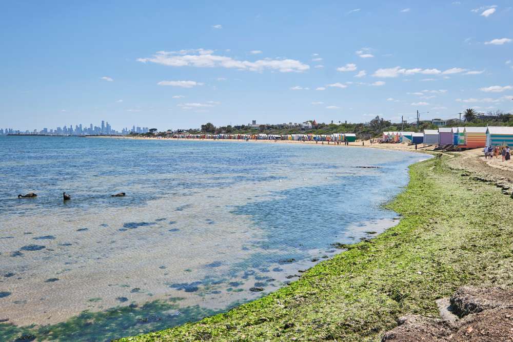 Williamstown Beach