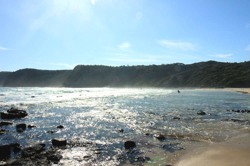 Bushrangers Bay Beach