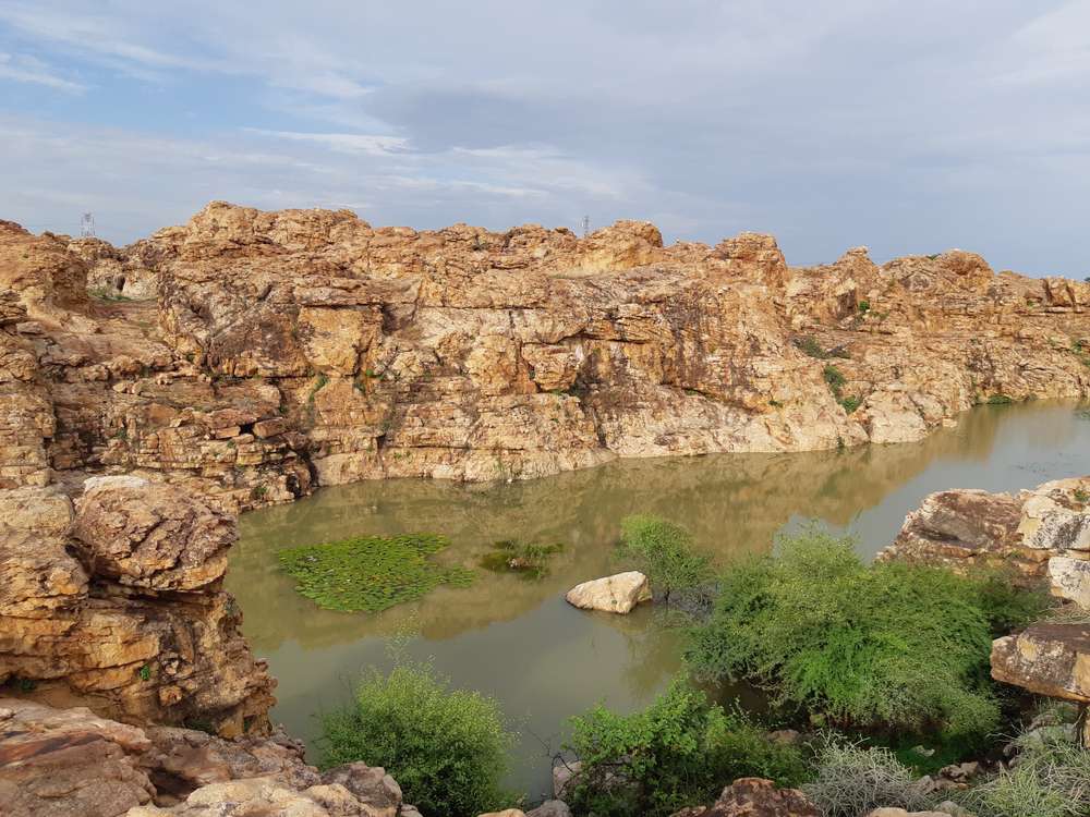 1597146390 shutterstock 1497306137