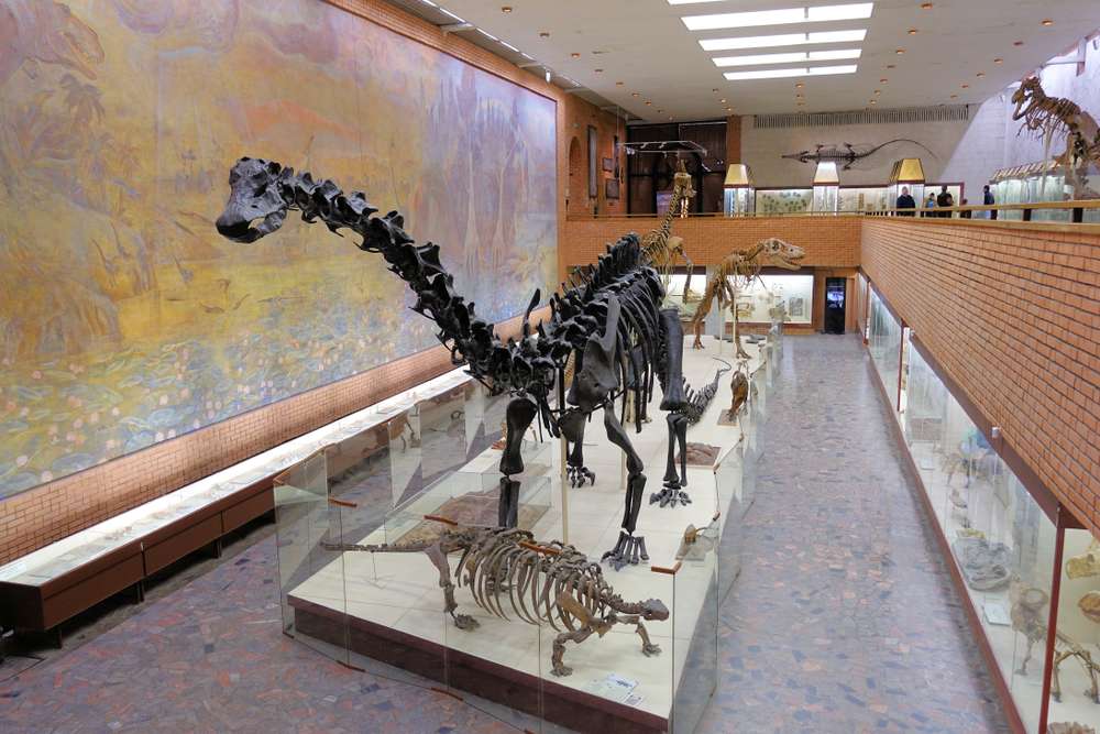 Paleontological Museum
