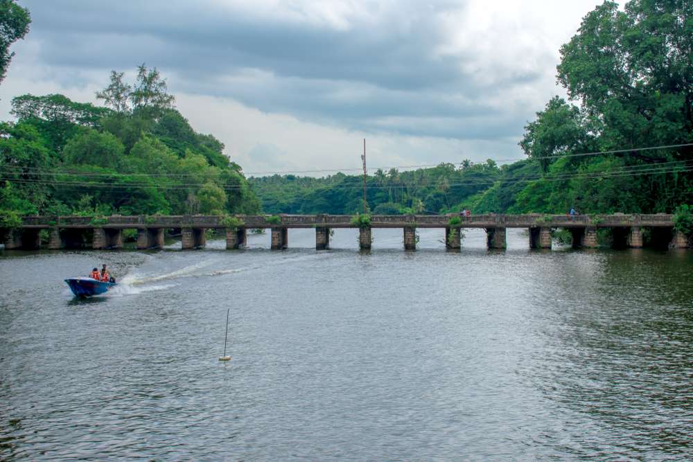 Palakkad (138 Km from Ooty)