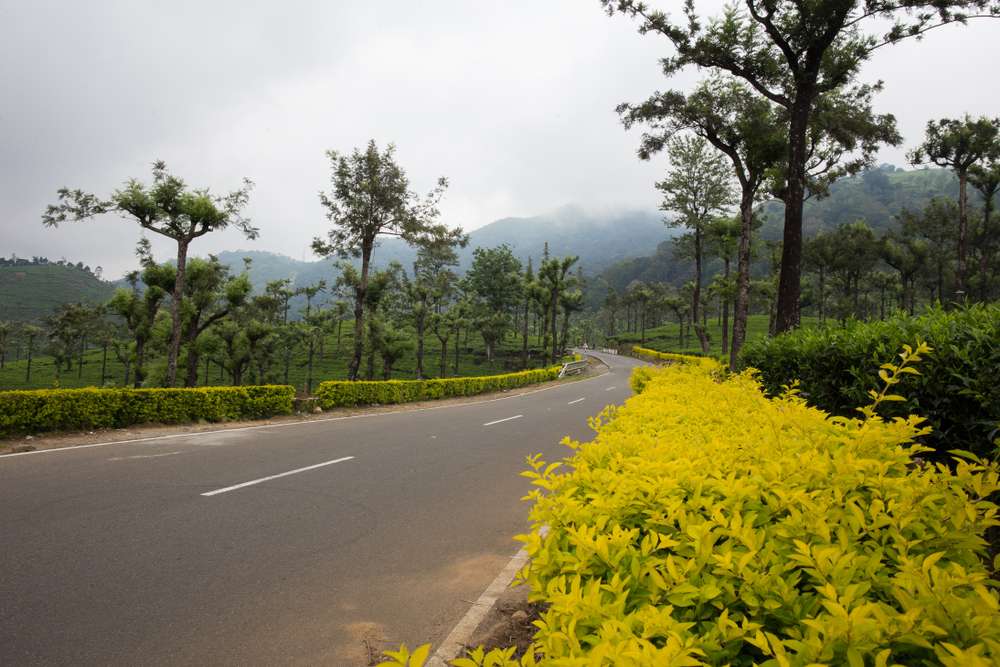 Valparai