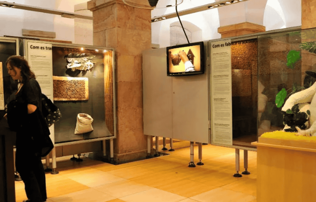 Chocolate Museum Barcelona Tickets, Book @ Flat 10% off