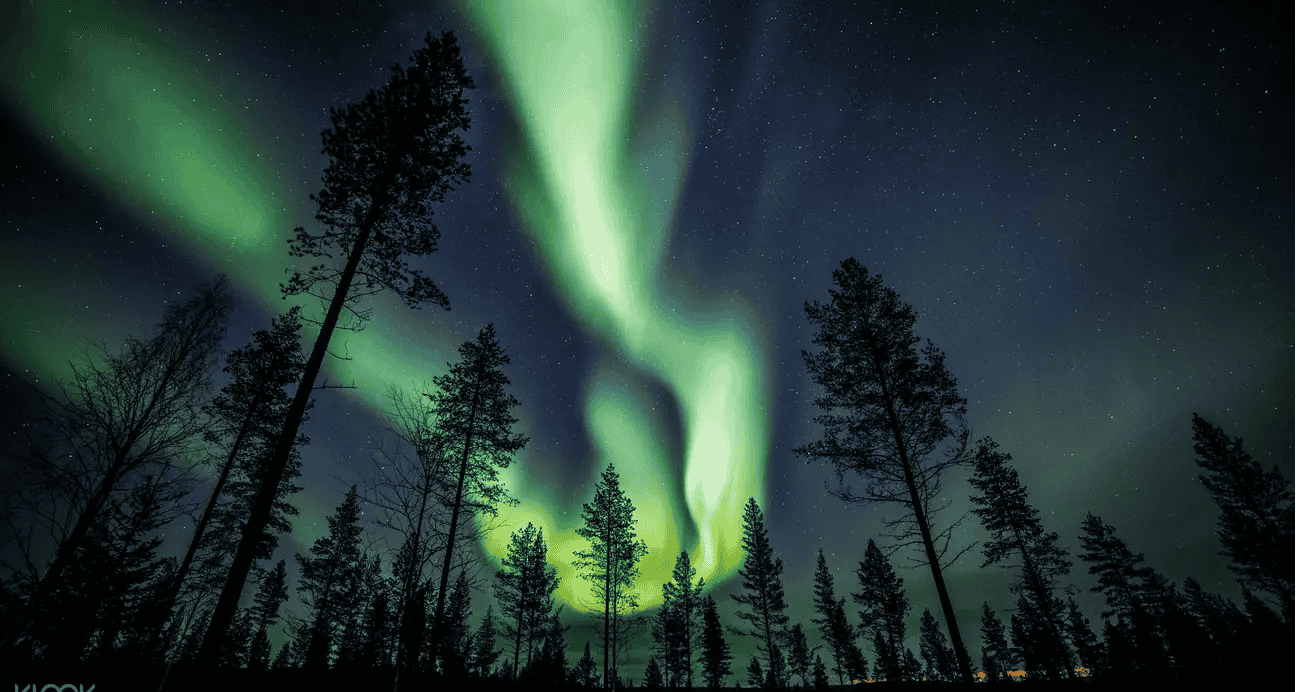 Northern Lights Tour from Rovaniemi, Book Now @ Flat 20% off