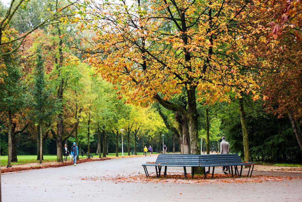 Walking at Vondelpark