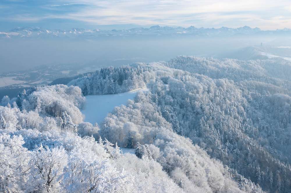 Winter Walk On The Uetliberg