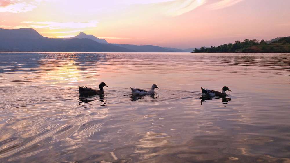 Best Time to Visit Pawna Lake