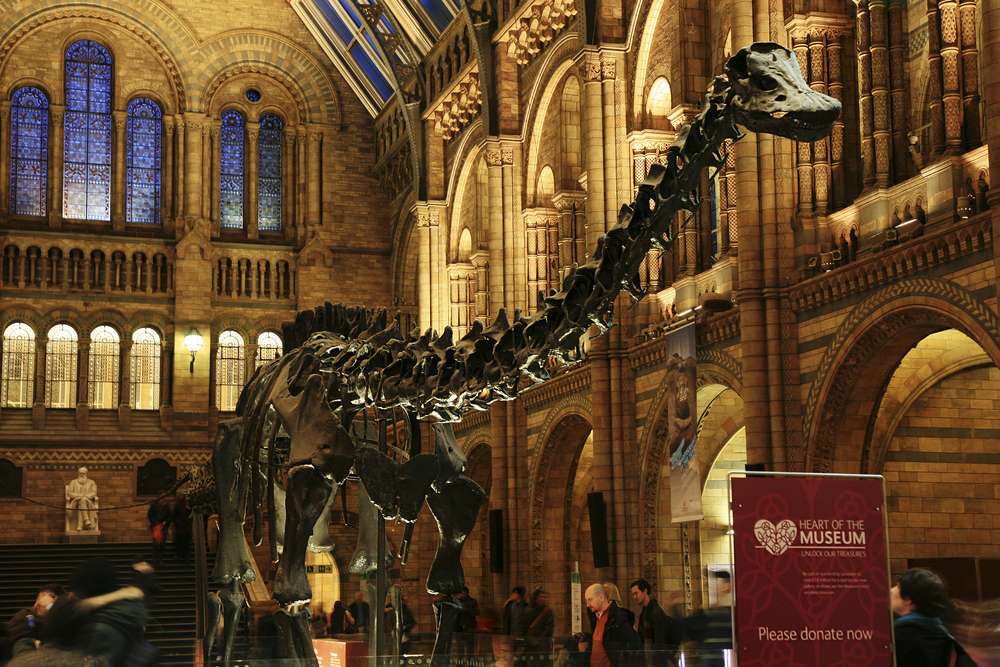 Natural History Museum
