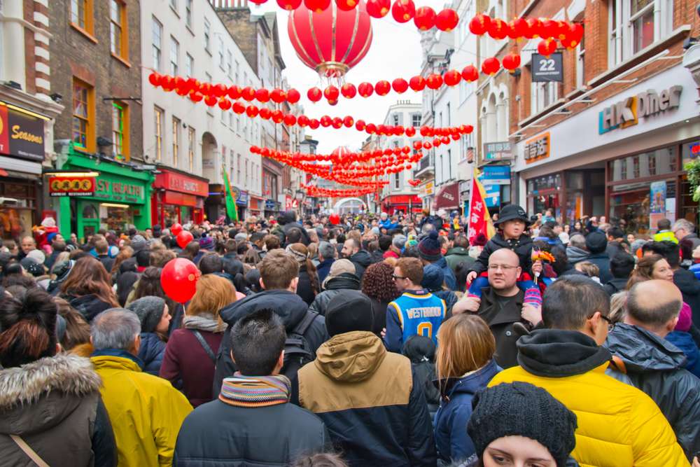 Celebrate the Chinese New Year