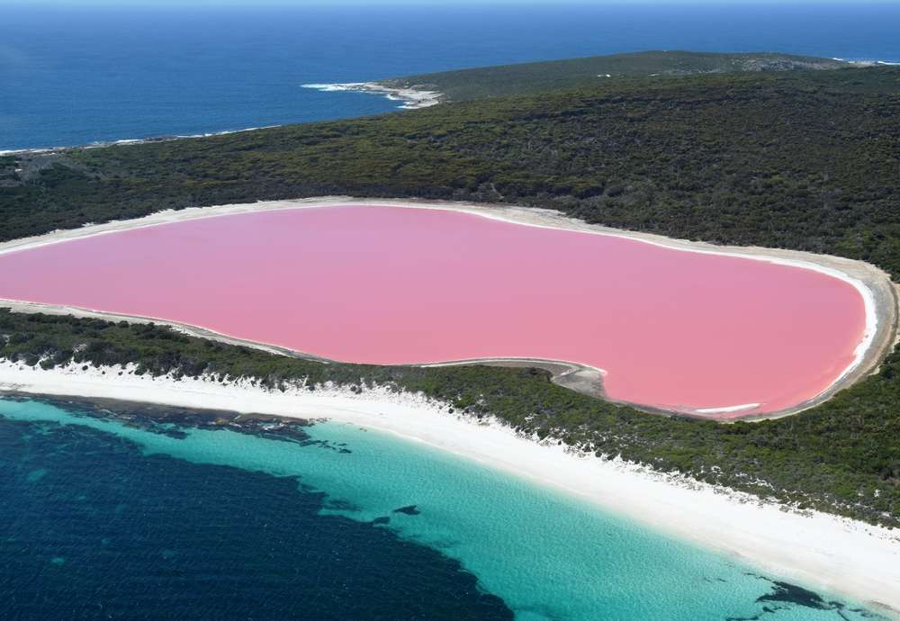 Pink Lake