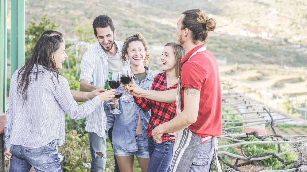 Wine Tasting at Lavaux, Vineyard Terraces