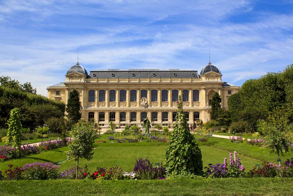 Explore Jardin Des Plantes